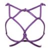 FIGURE OF AHoshi Harnais Lilas - Brigade Mondaine Le Luxe Érotique -BRIGADE MONDAINE Boutique FIGURE OF A Hoshi harness lilac 01