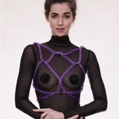 Devant -BRIGADE MONDAINE Boutique FIGURE OF A Hoshi harness lilac 02