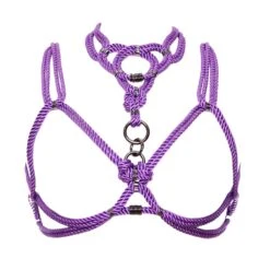 FIGURE OF AMune Set Harnais & Collier Violet - Brigade Mondaine Le Luxe Érotique