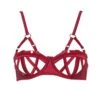 GONZALES Affaires Soutien-gorge Domenica Rubis