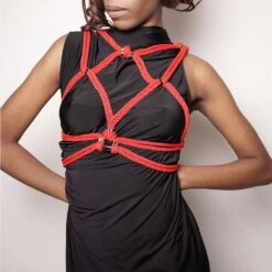 FIGURE OF AHoshi Harnais Rouge - Brigade Mondaine Le Luxe Érotique 12 FIGURE OF AHoshi Harnais Rouge - Brigade Mondaine Le Luxe Érotique -BRIGADE MONDAINE Boutique Hoshi Red 02