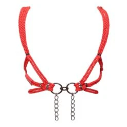 FIGURE OF AHoshi Harnais Rouge - Brigade Mondaine Le Luxe Érotique 10 FIGURE OF AHoshi Harnais Rouge - Brigade Mondaine Le Luxe Érotique -BRIGADE MONDAINE Boutique Hoshi Red Back