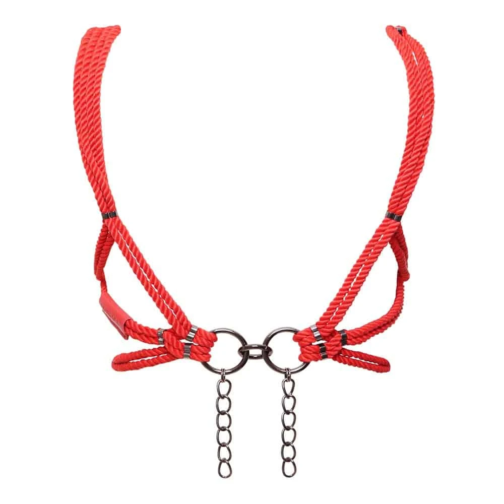 FIGURE OF AHoshi Harnais Rouge - Brigade Mondaine Le Luxe Érotique 5 FIGURE OF AHoshi Harnais Rouge - Brigade Mondaine Le Luxe Érotique – Image 3