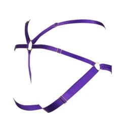 Kaimin Electra Culotte Ouverte - Brigade Mondaine Paris -BRIGADE MONDAINE Boutique SLFF KAIMIN ELECTRA SILK STRAP THONG PURPLE 02