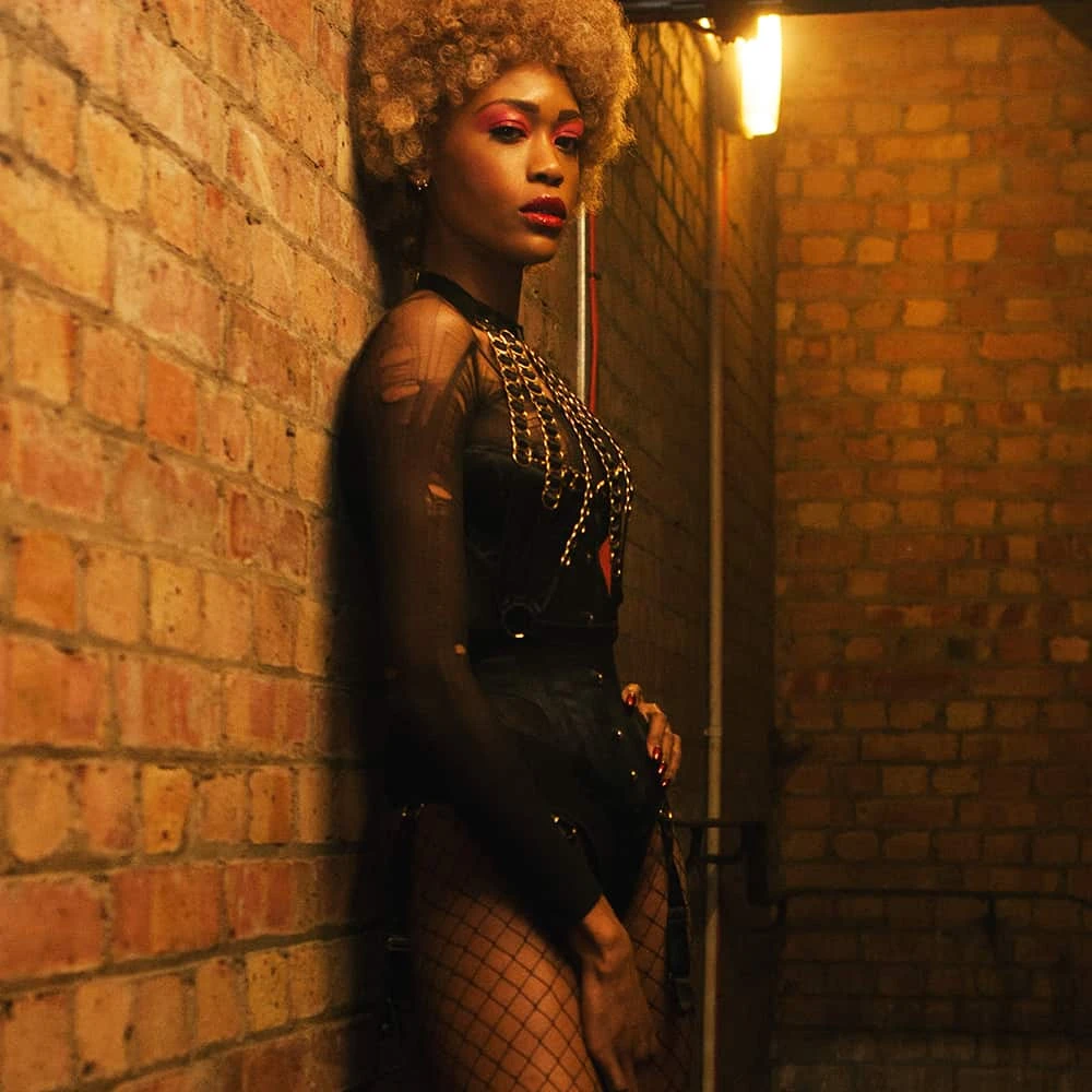 Brigade Mondaine - THE MODEL TRAITOR <br /><strong>Simone Halter Harnais</strong> 7 Brigade Mondaine - THE MODEL TRAITOR <br /><strong>Simone Halter Harnais</strong> – Image 5